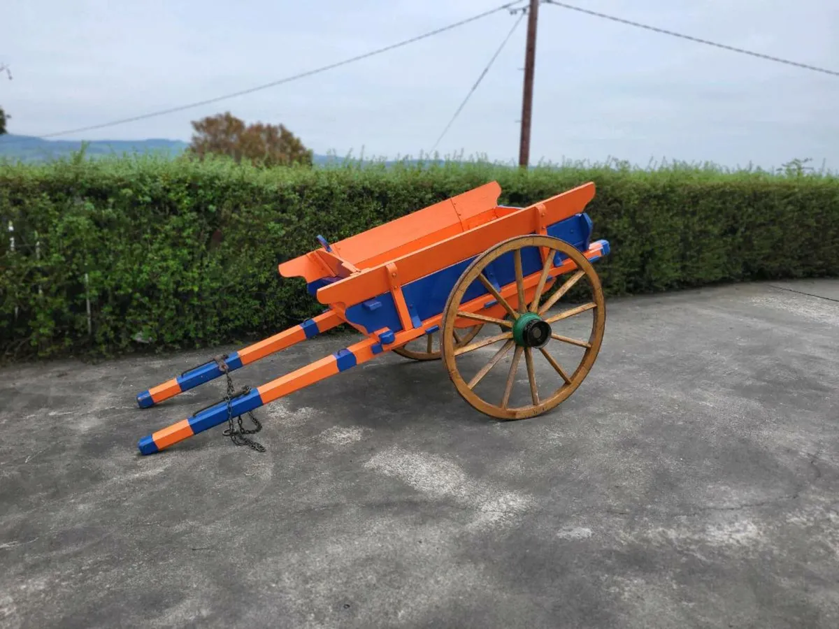 Donkey cart - Image 1