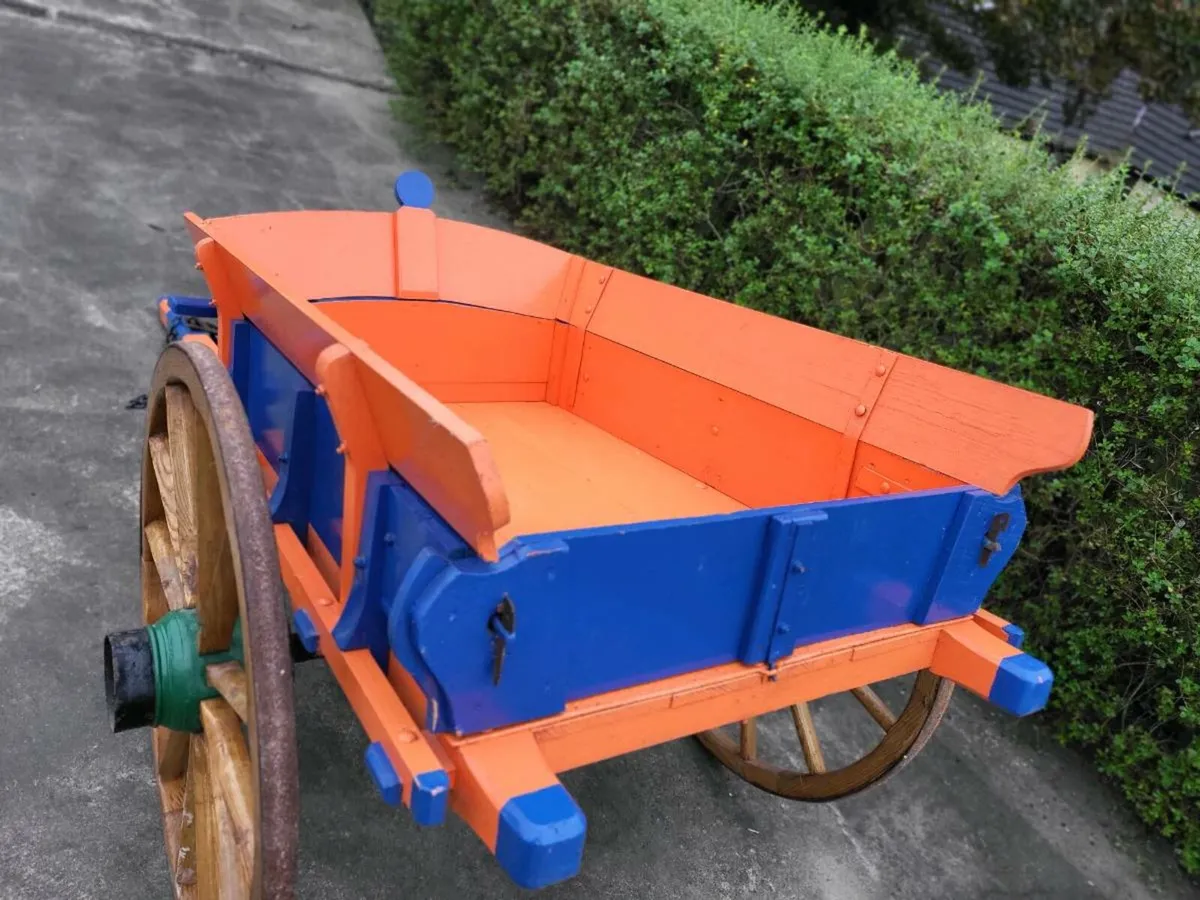 Donkey cart - Image 2