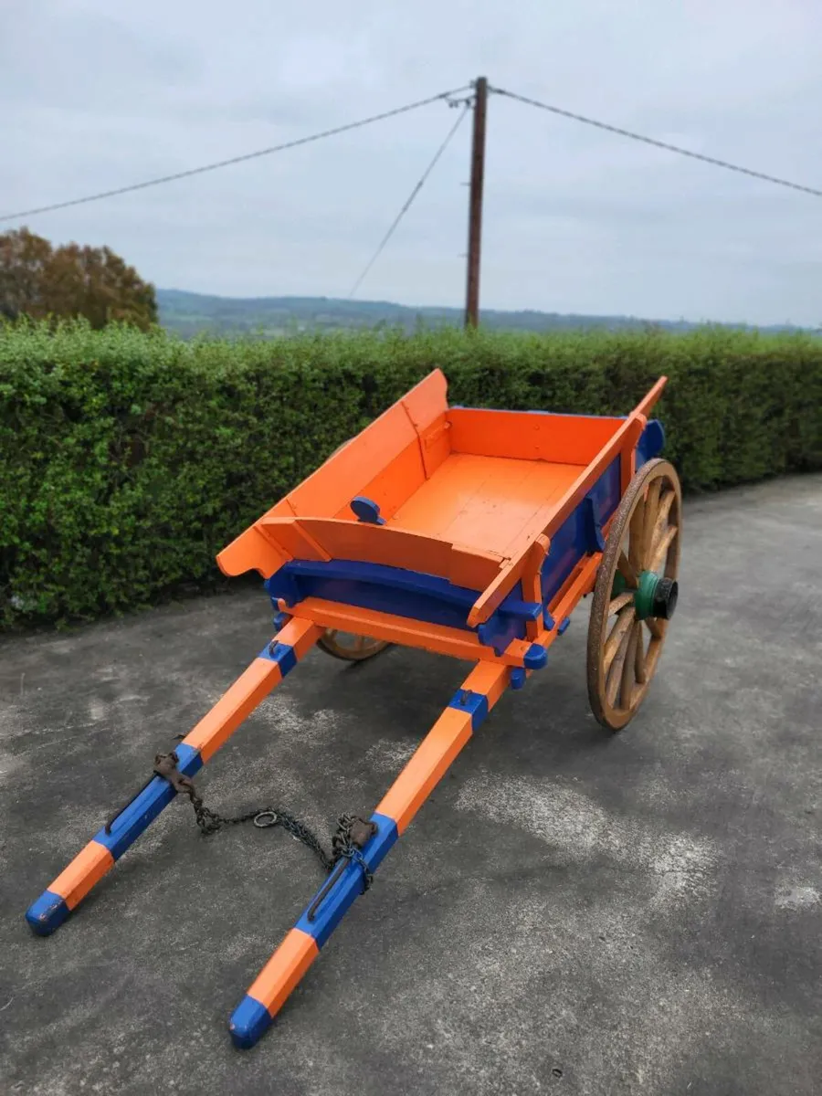 Donkey cart - Image 3