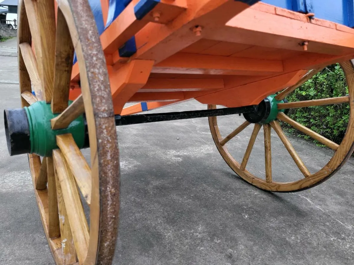 Donkey cart - Image 4