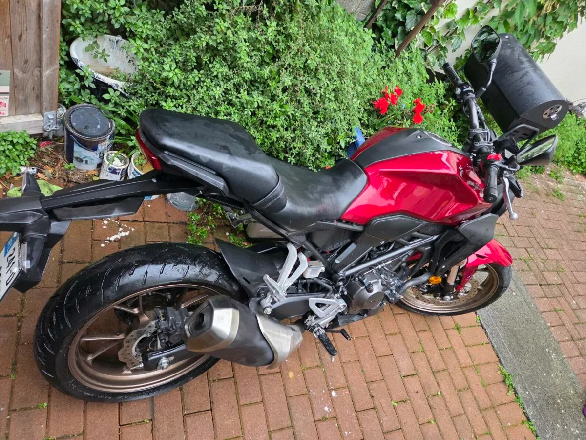 Honda CB300R - Image 3