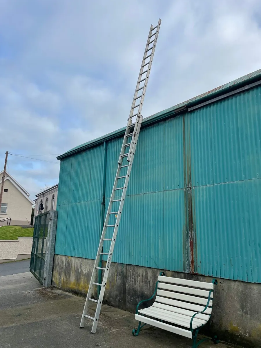 Large ladders heavy duty - Image 2