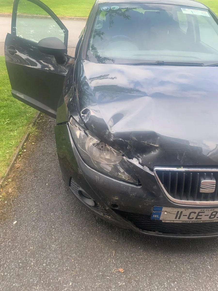 SEAT Ibiza 2011 - Image 1