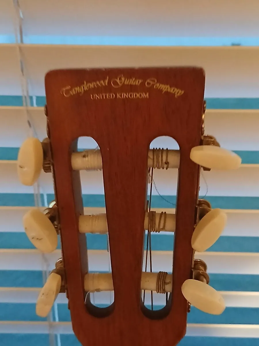 Tanglewood Guitar - Image 2