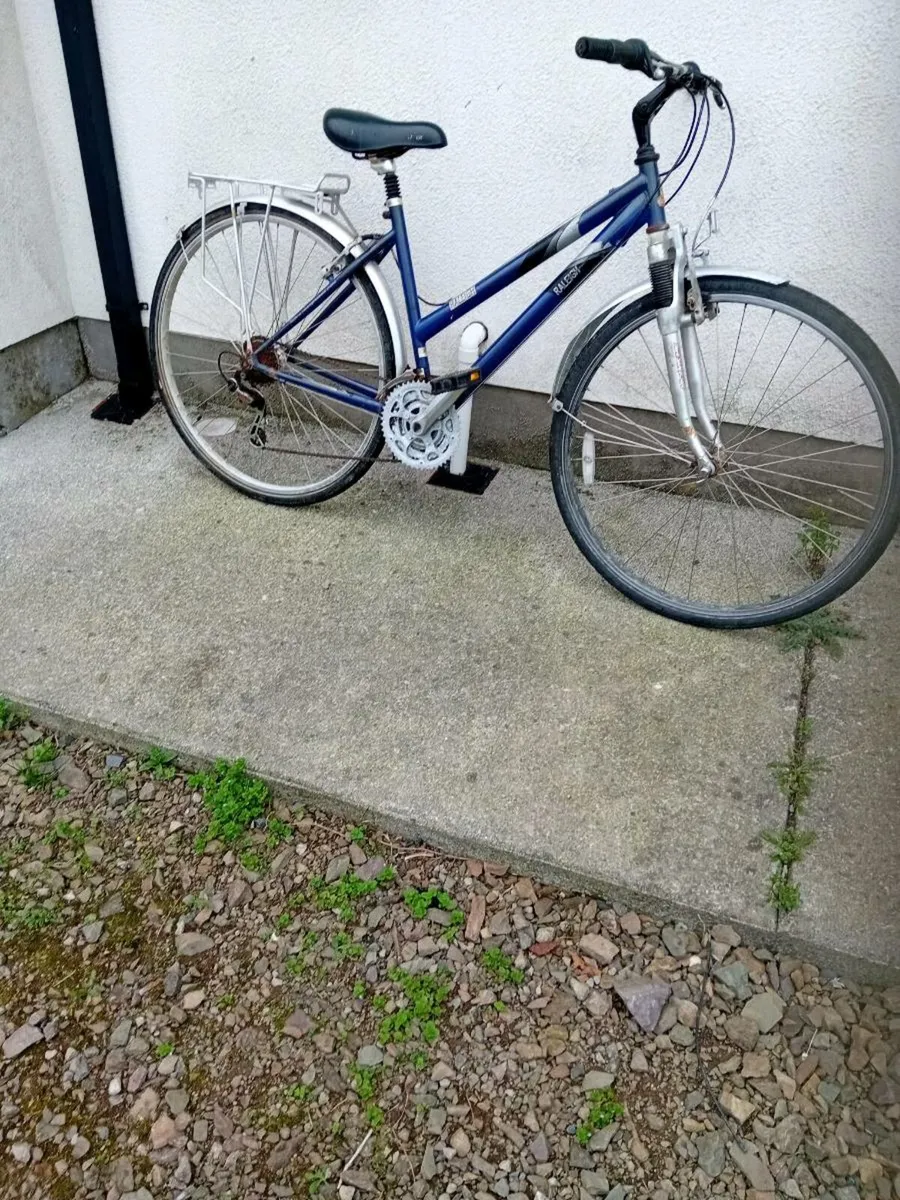 Adult bikes - Image 2