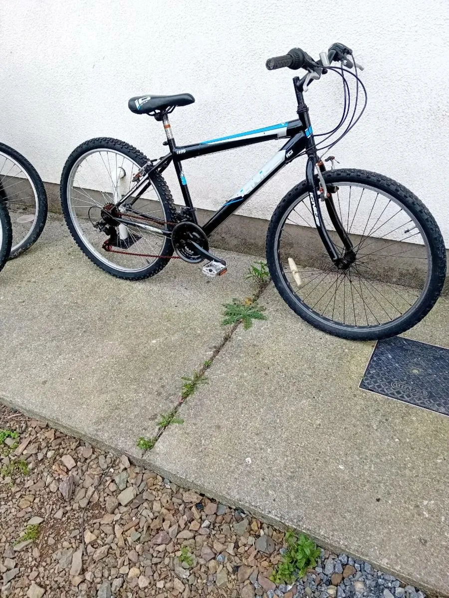 Adult bikes - Image 3