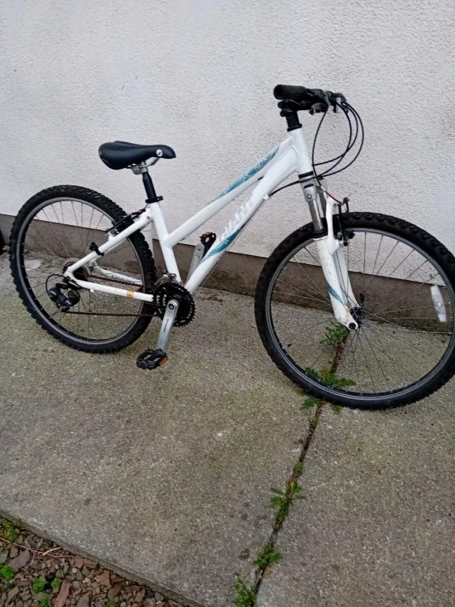 Adult bikes - Image 4