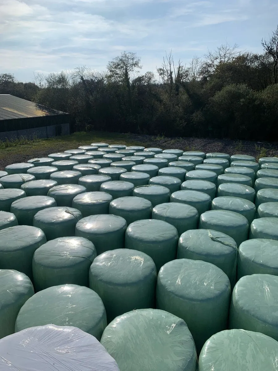 Haylage/Silage - Image 1