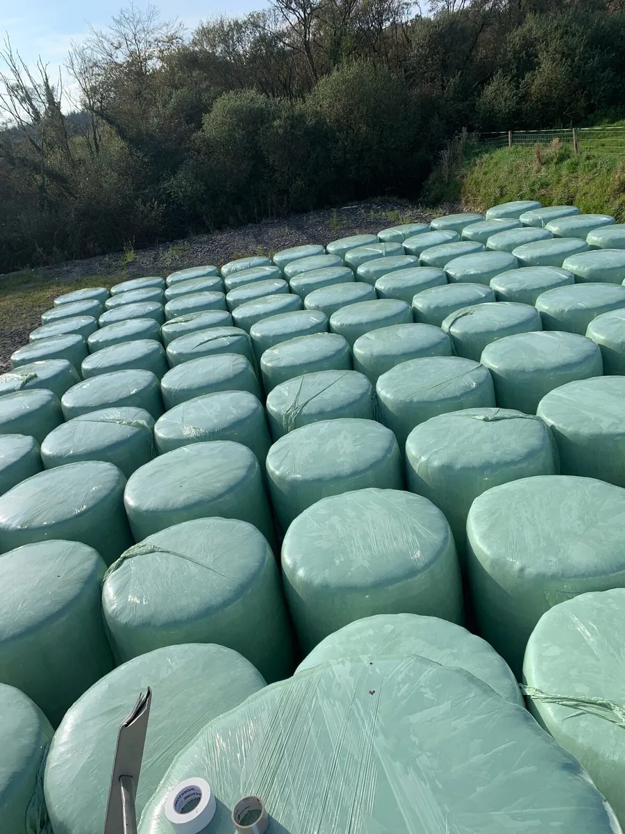 Haylage/Silage - Image 2