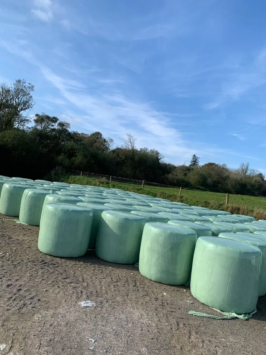 Haylage/Silage - Image 3