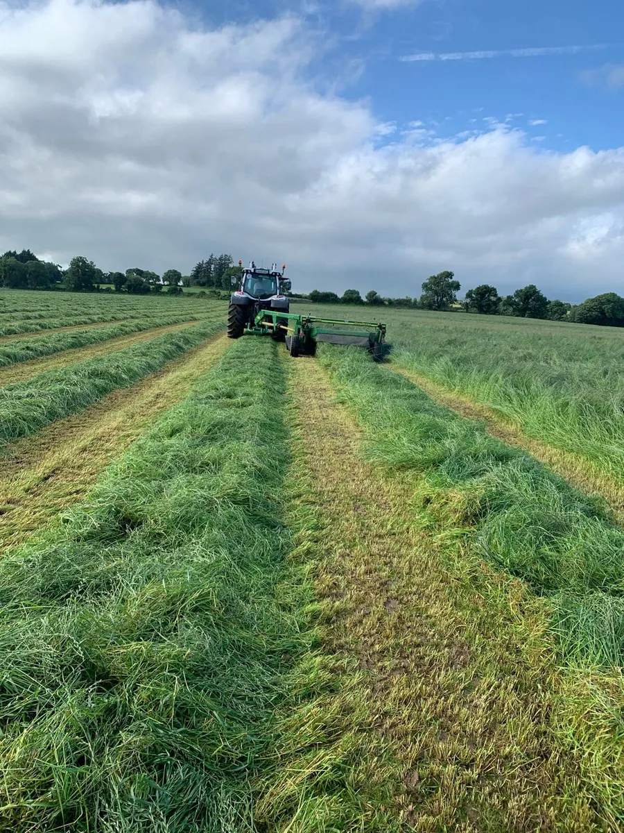 Haylage/Silage - Image 4