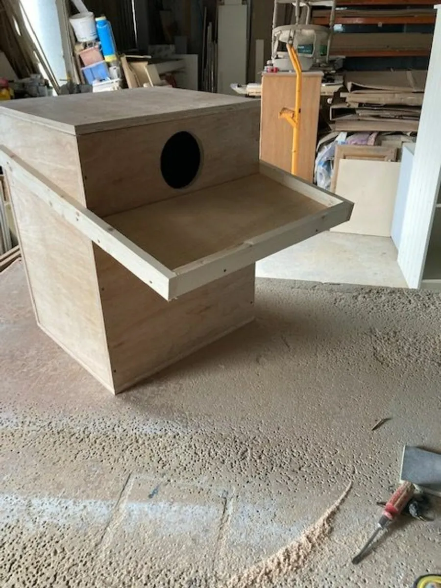 owl box - Image 3