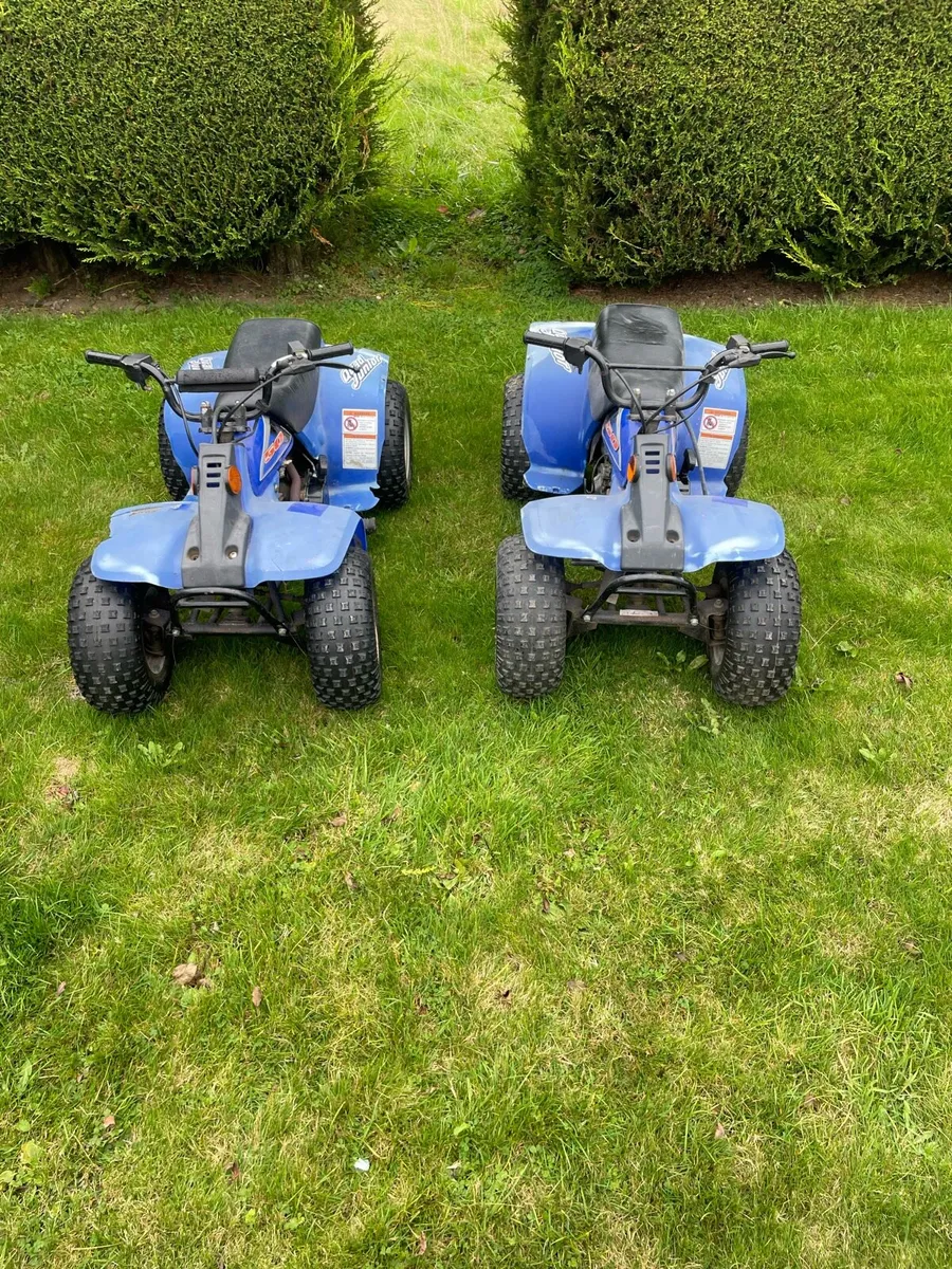 Limanx 50 cc quads - Image 2