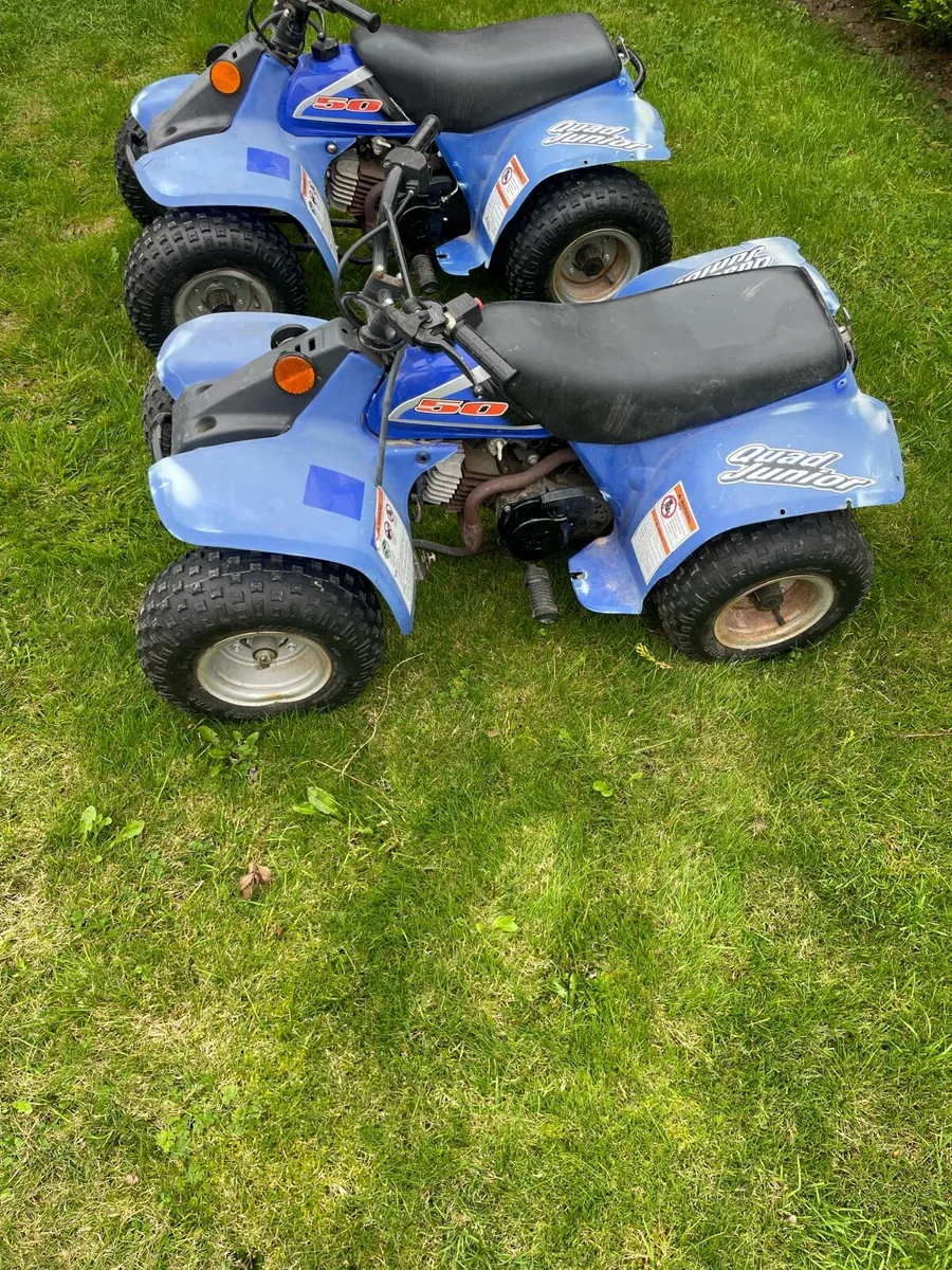 Limanx 50 cc quads - Image 3