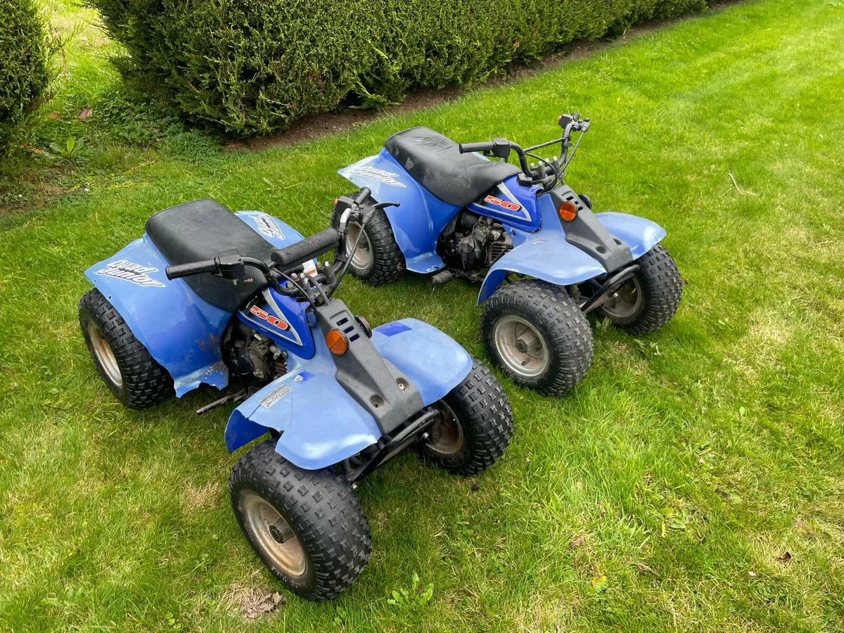 Limanx 50 cc quads - Image 1