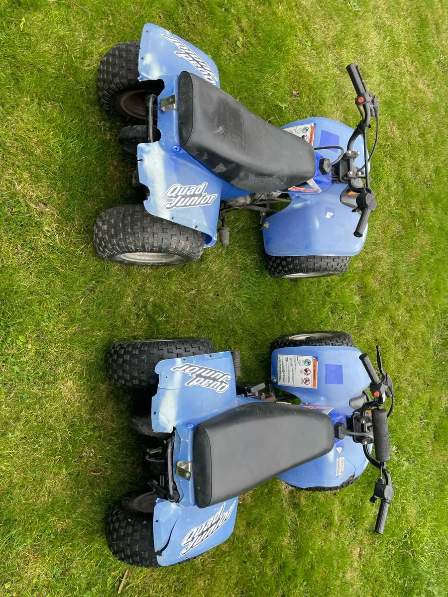 Limanx 50 cc quads - Image 4