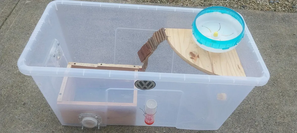 Hamster cage - Image 1