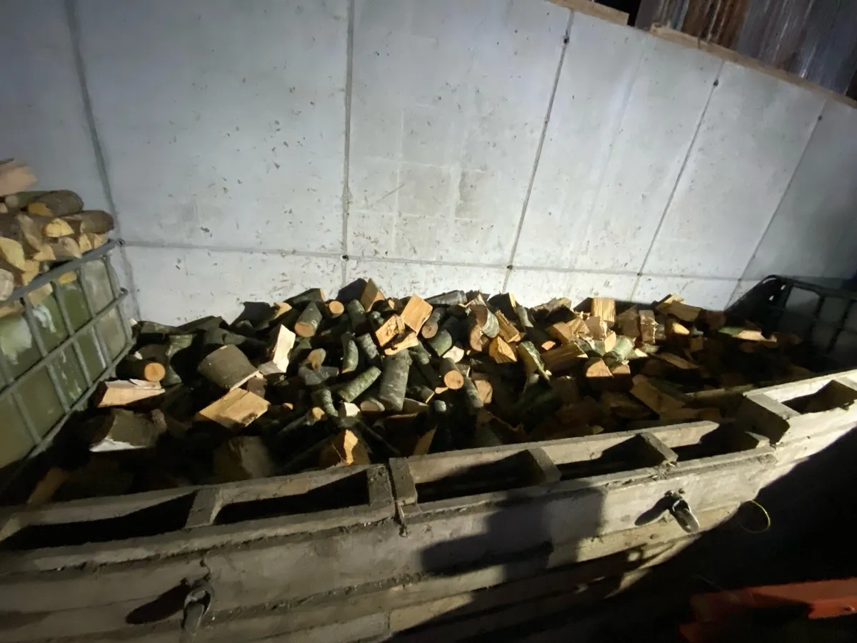 Fire wood - Image 1