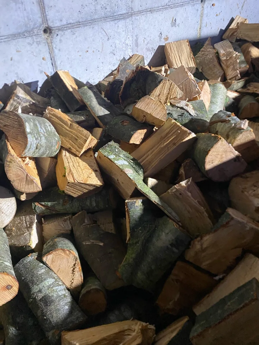 Fire wood - Image 2