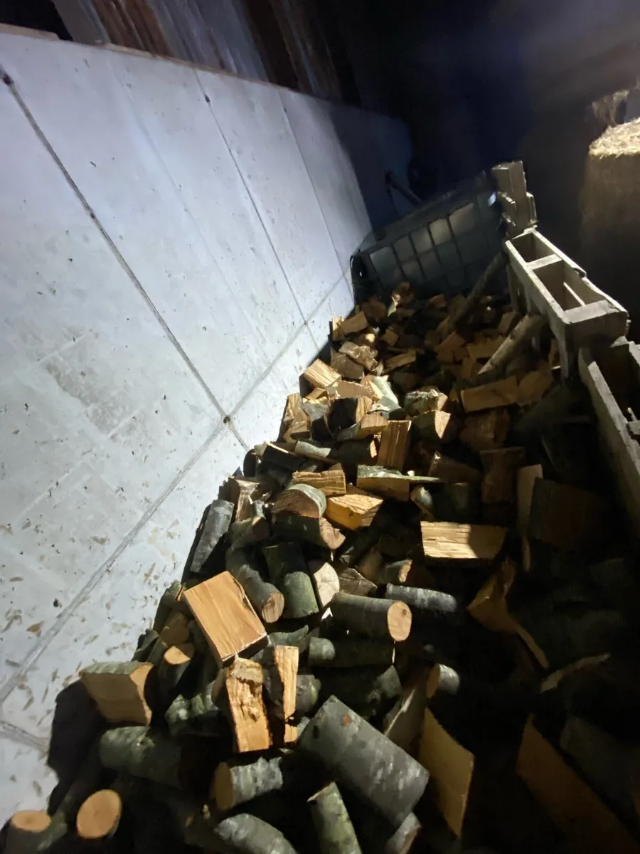 Fire wood - Image 3