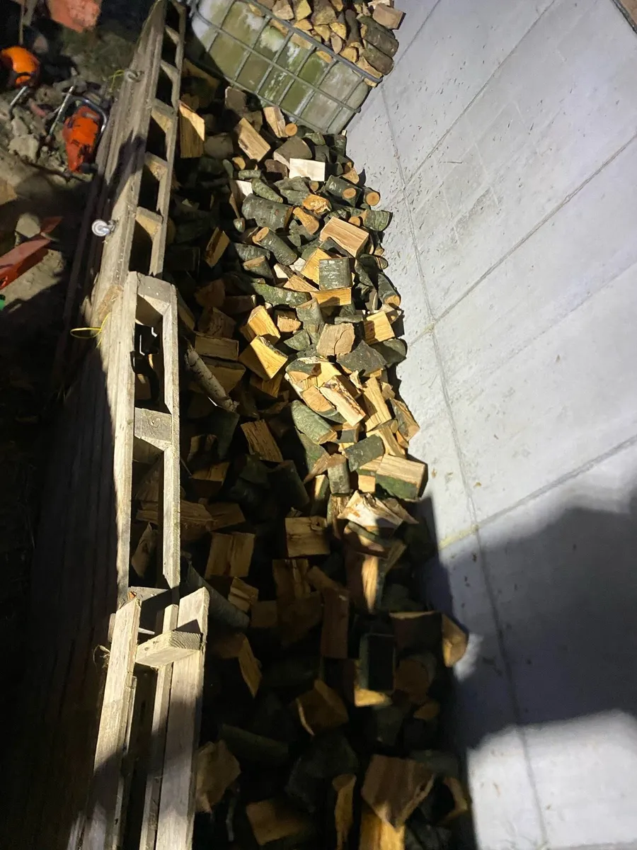 Fire wood - Image 4