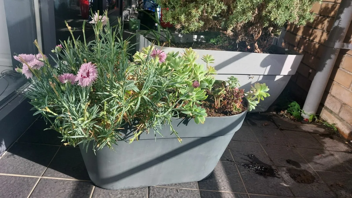 Flower pot for balcony with flowers - Image 4