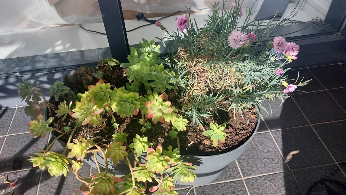 Flower pot for balcony with flowers - Image 1