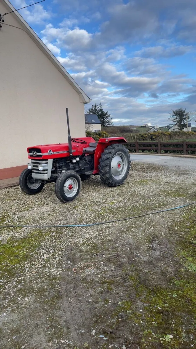Massey 135