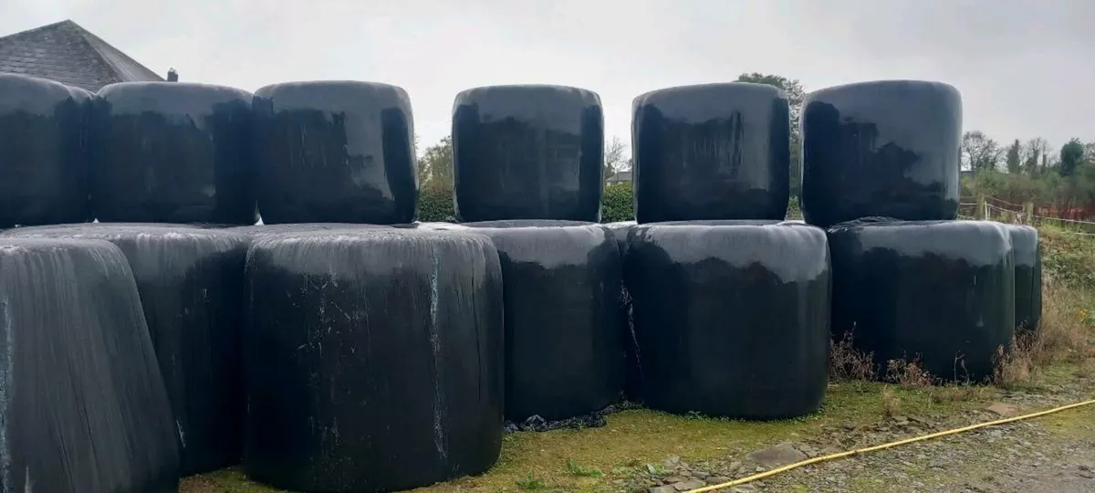 Round bales silage - Image 2