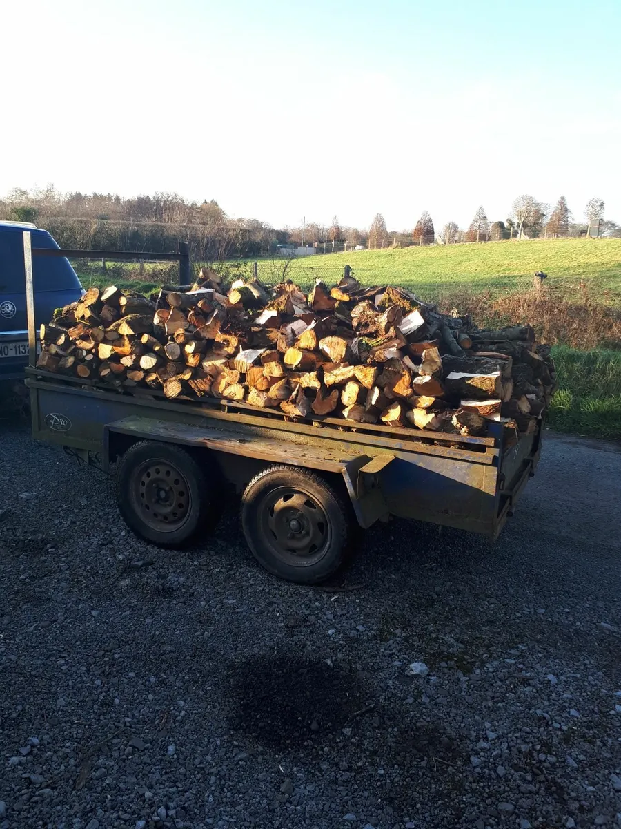 Hardwood Timber - Image 2