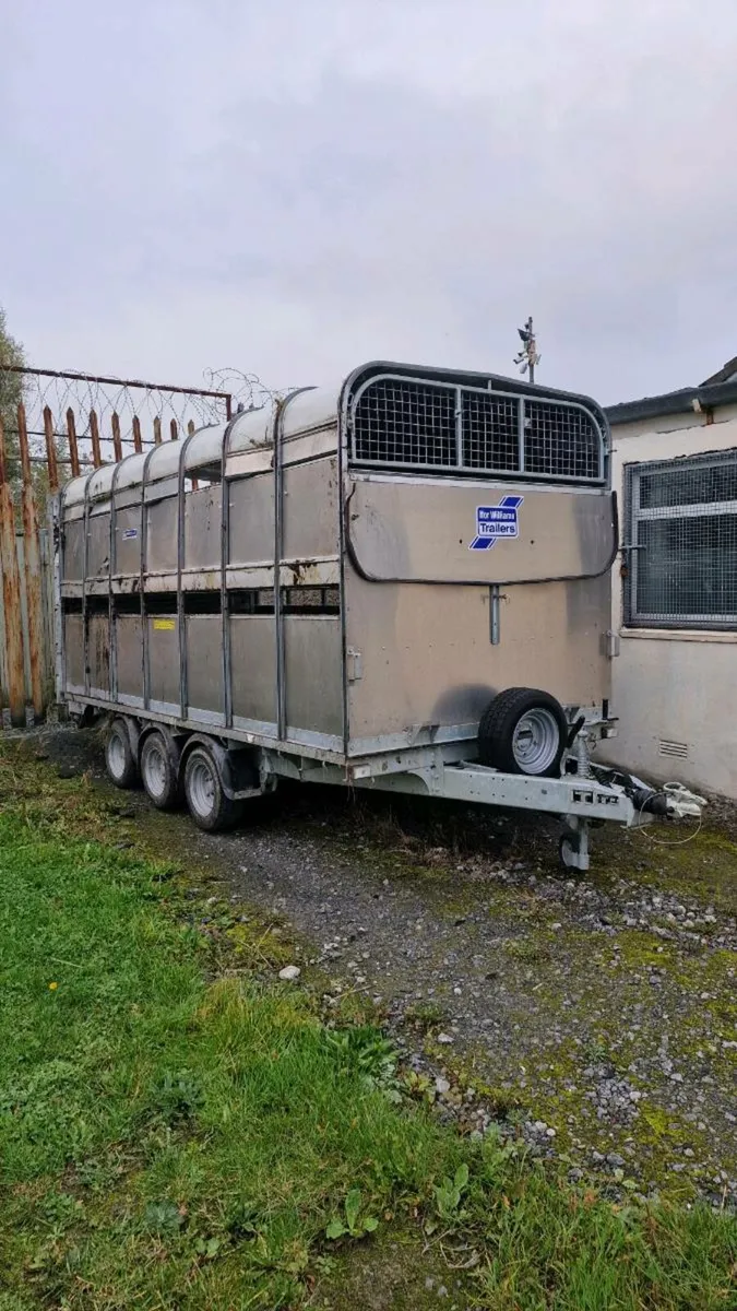 Tri Axle Ifor Williams DP120 14×6'6 Cattle Trailer - Image 2