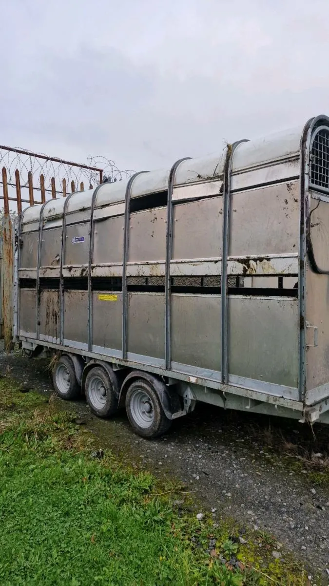 Tri Axle Ifor Williams DP120 14×6'6 Cattle Trailer - Image 3