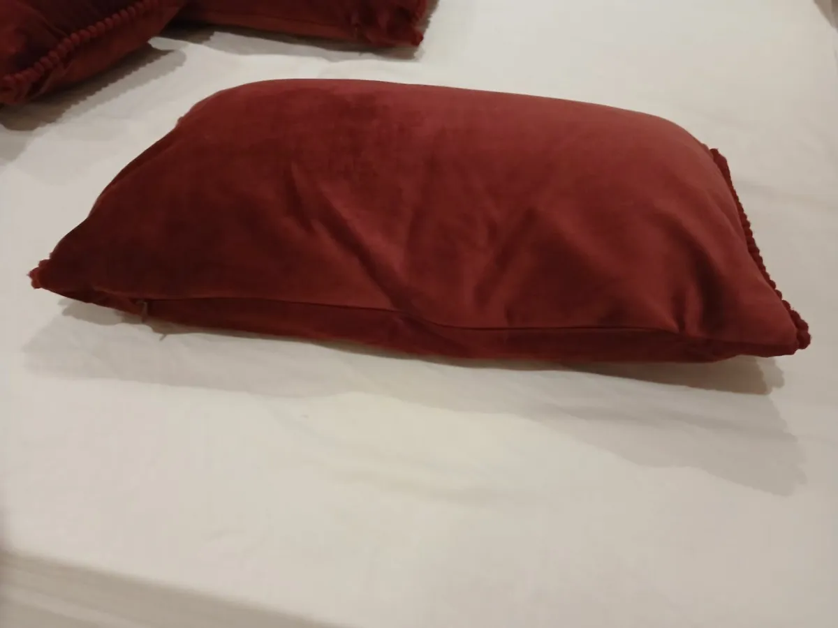 Rich Velvet Christmas Cushions - Image 4