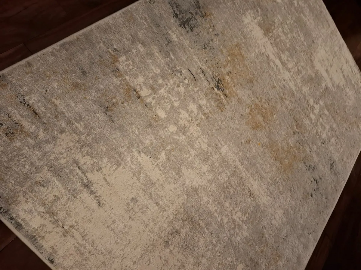 Living Room Rug - Image 1
