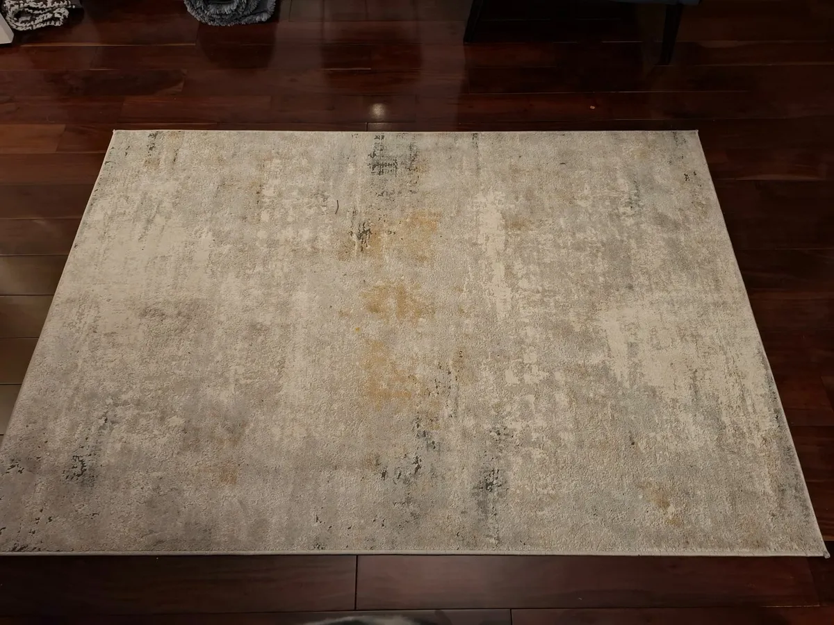 Living Room Rug - Image 2