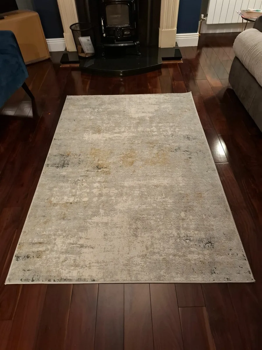 Living Room Rug - Image 3