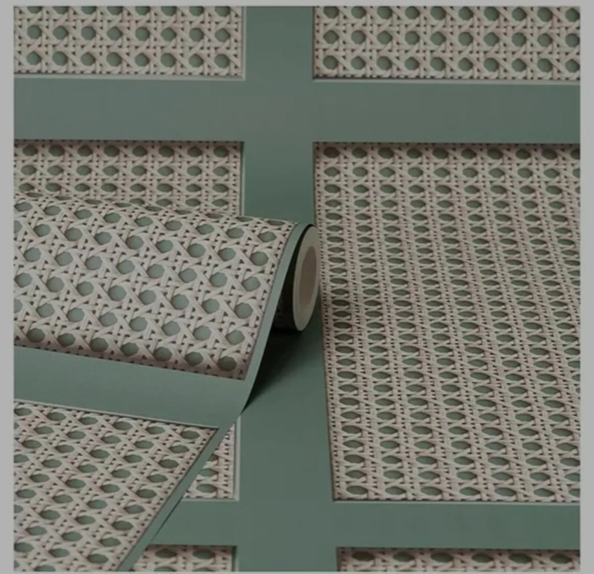 Fine dècor Cane Panel Wallpaper - Image 3