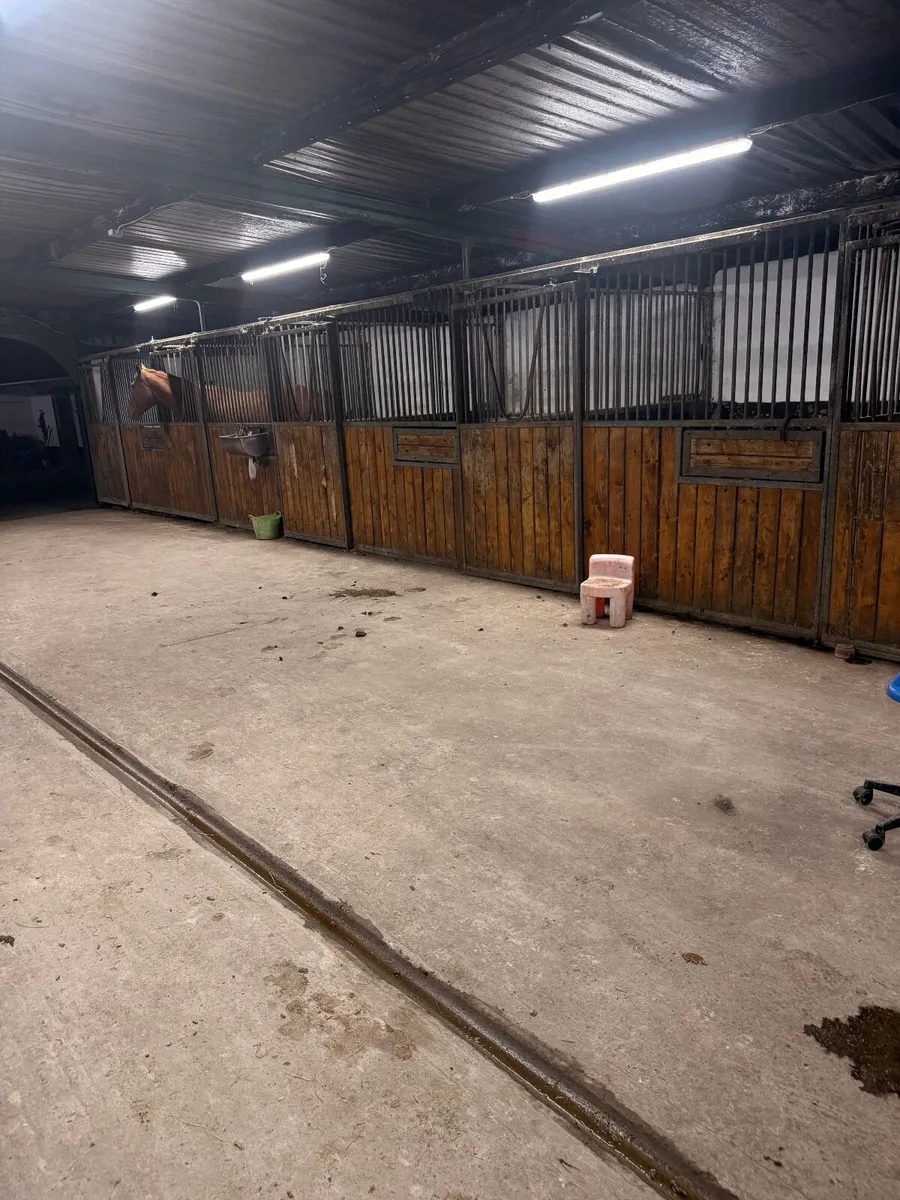 12x Indoor Stables with Dividers - Image 3