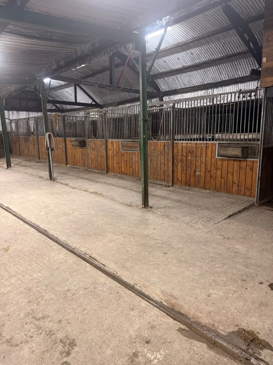 12x Indoor Stables with Dividers - Image 1