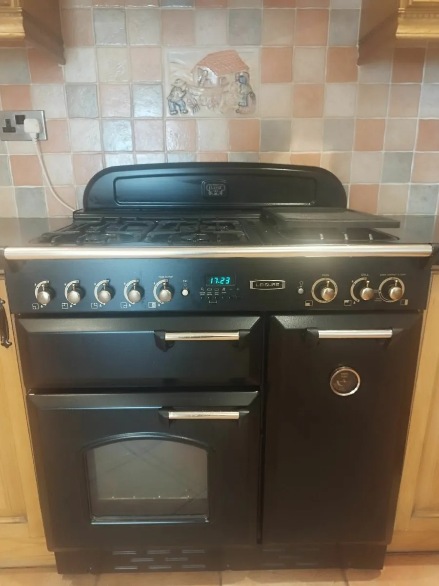 Lesure Cooker - Image 1