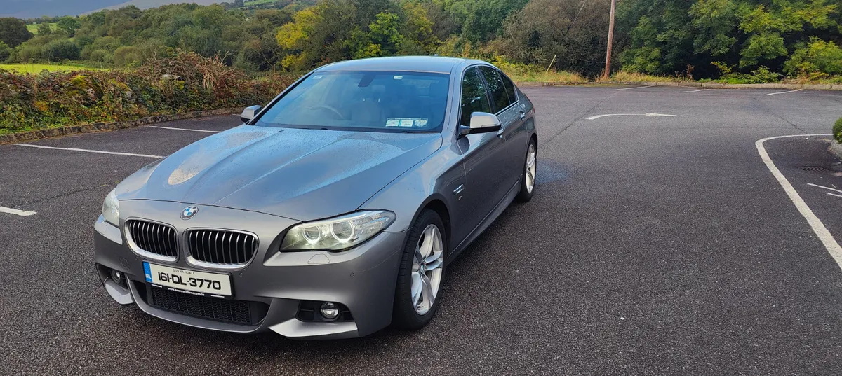 161 BMW 520D MSPORT  AUTO LOW KMS - Image 4