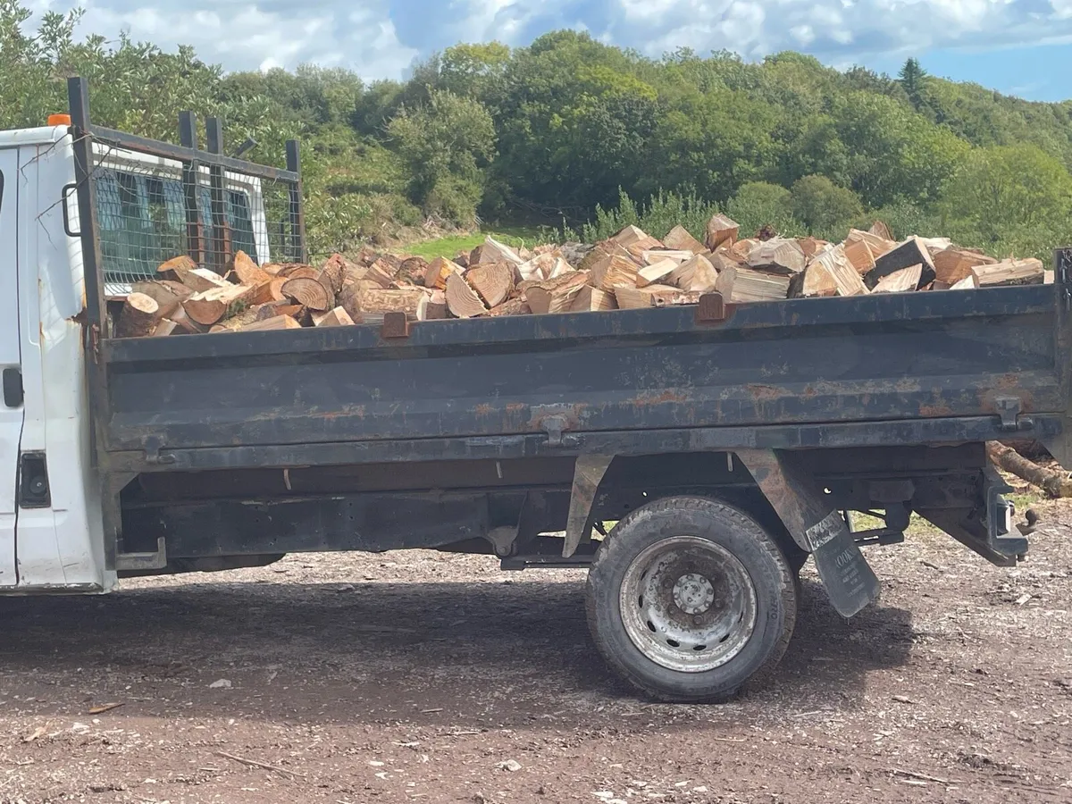 Firewood and coal - Image 1