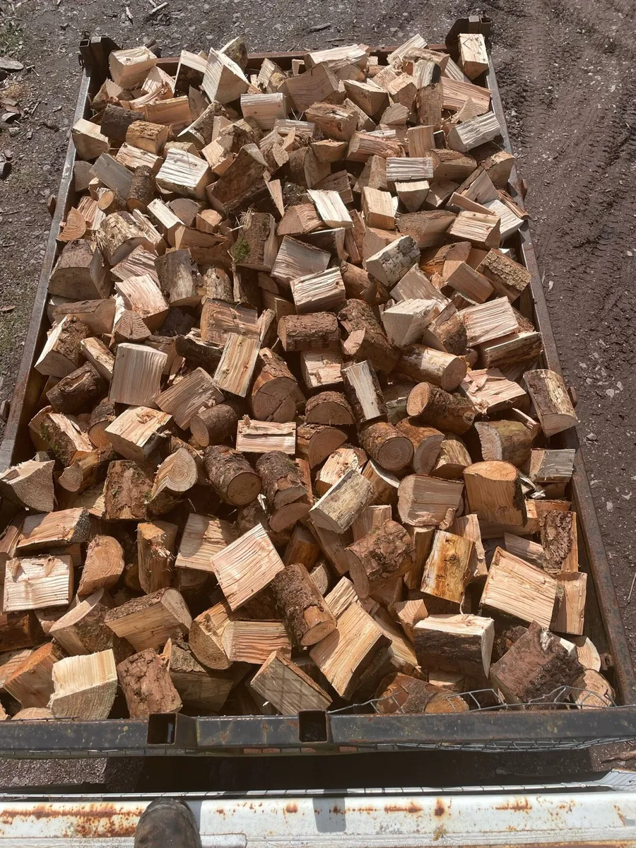 Firewood and coal - Image 3