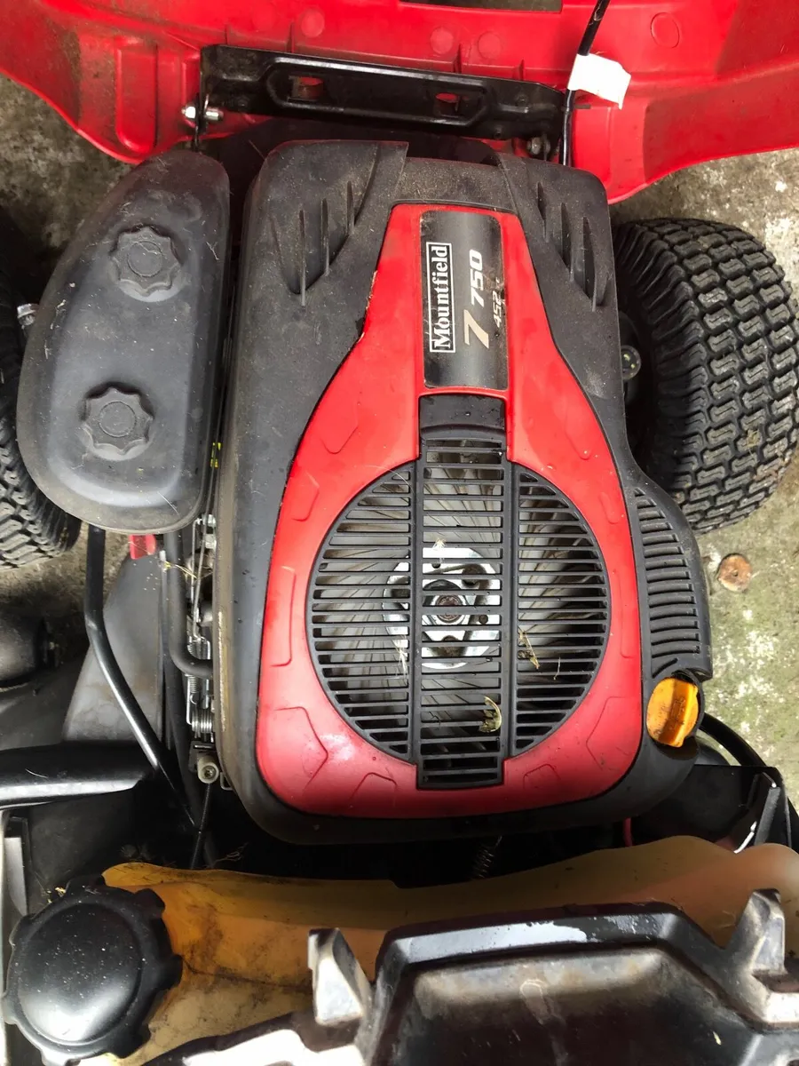 Ride on mower can deliver 1200 - Image 2