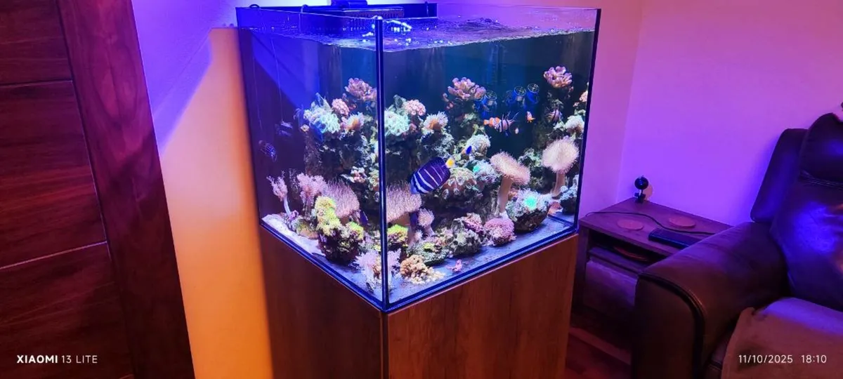 Aquarium AquaOne 180l - Image 1