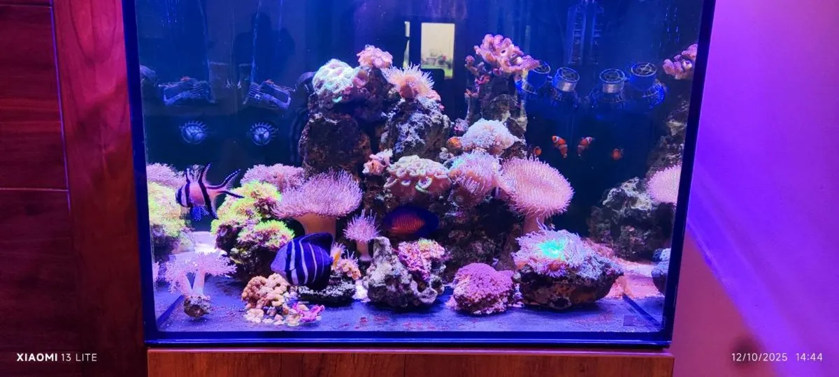 Aquarium AquaOne 180l - Image 3