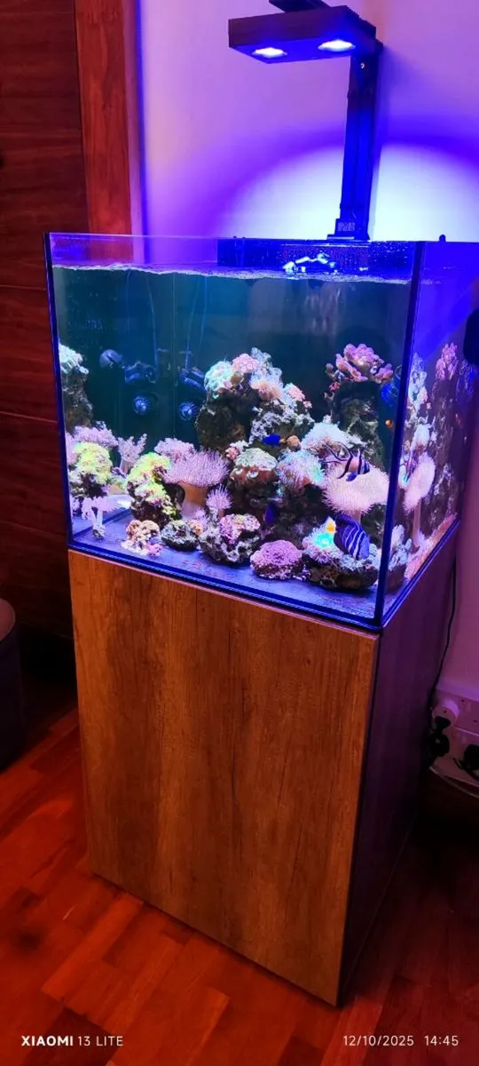 Aquarium AquaOne 180l - Image 4