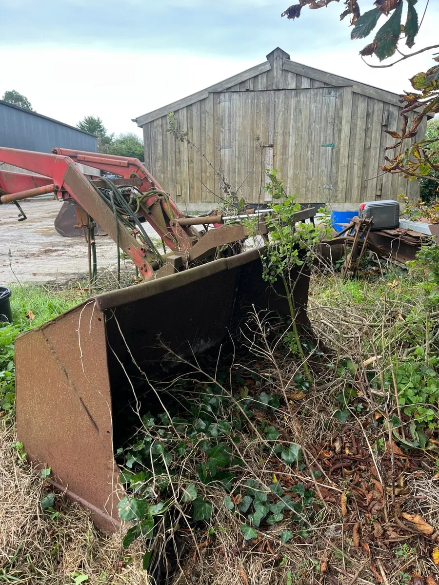 Massey Ferguson 80 loader - Image 3
