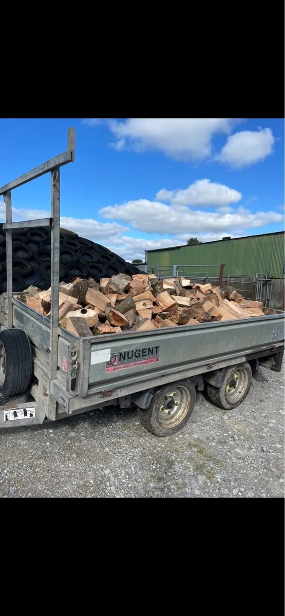 Fire wood - Image 1
