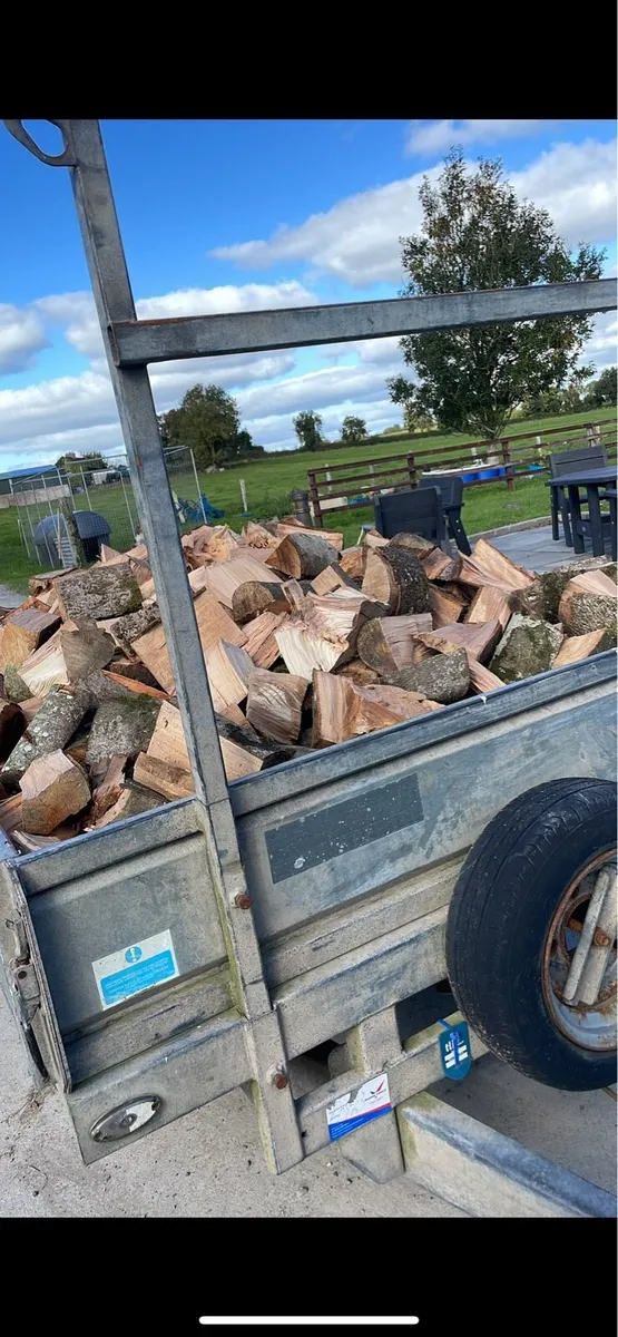 Fire wood - Image 2